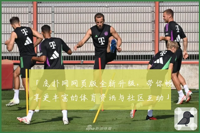 「虎扑网网页版全新升级，带你畅享更丰富的体育资讯与社区互动」